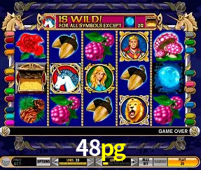 VIP Casino 48pg